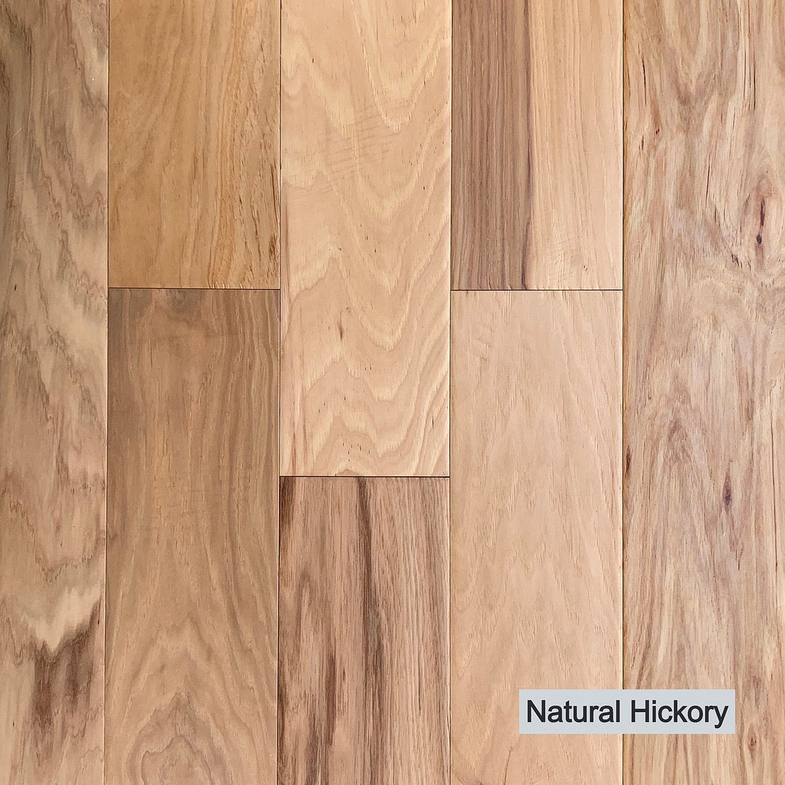 Jackson Plank Collection