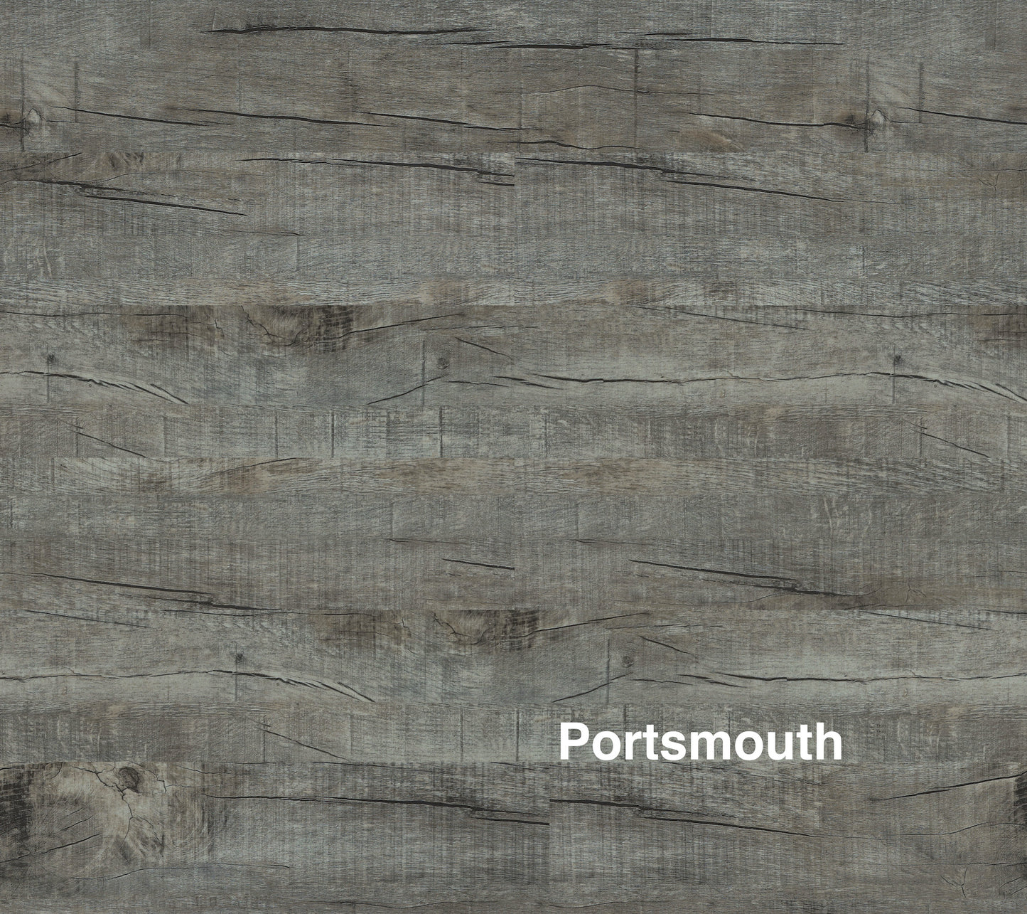 Delmont Plank AP