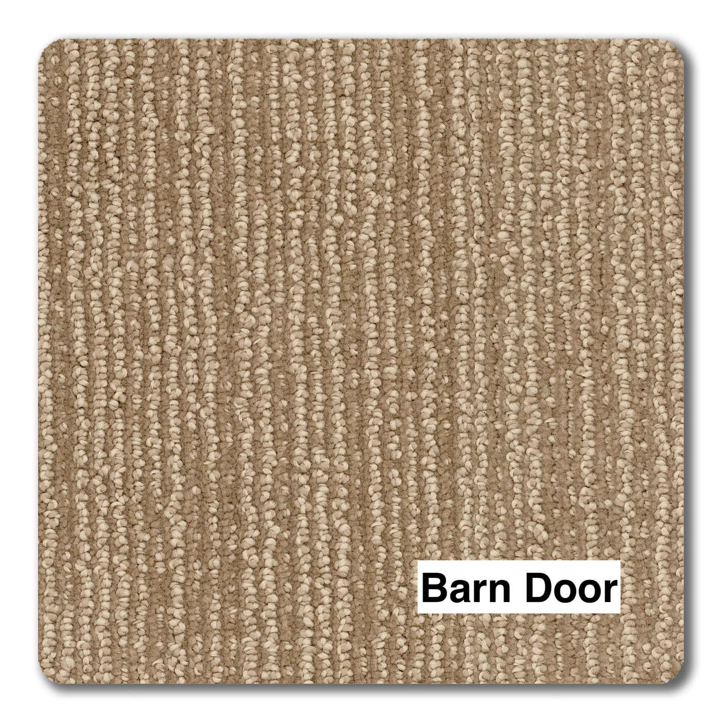 Revolution Key Largo