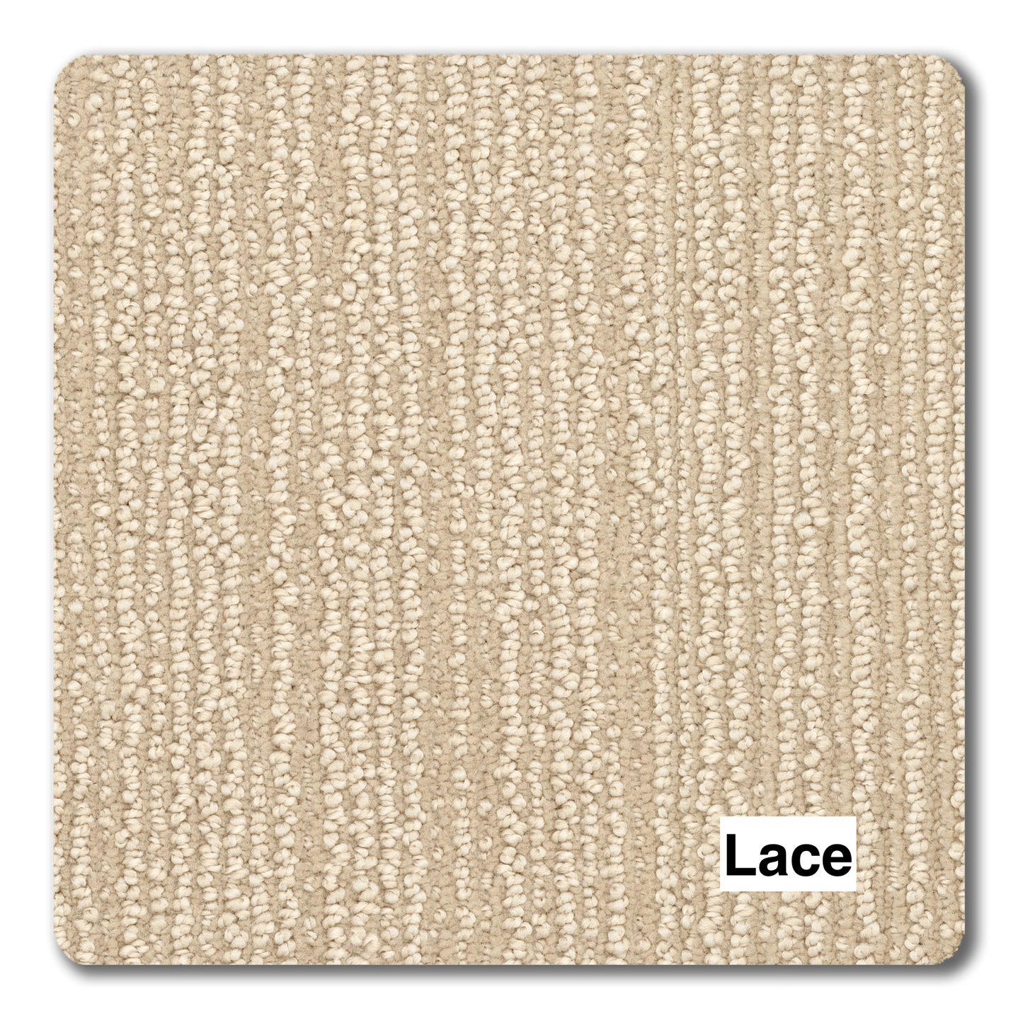 Revolution Key Largo