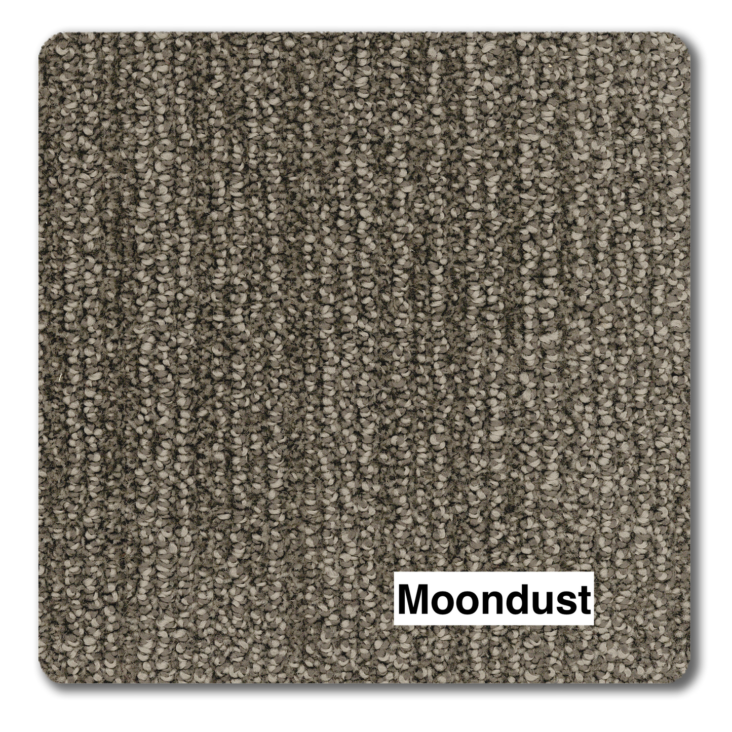 Revolution Key Largo