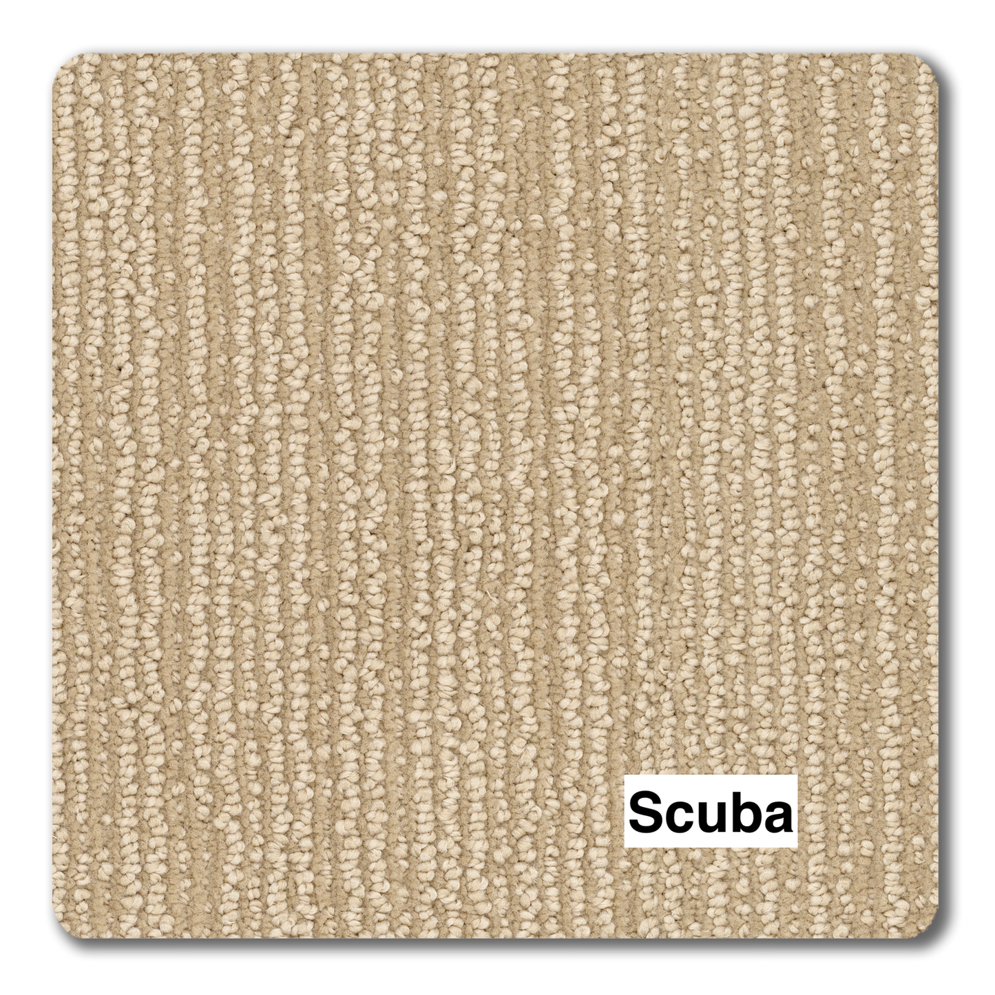 Revolution Key Largo